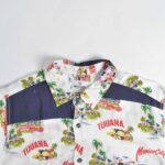 پیراهن هاوایی Michael Alexander