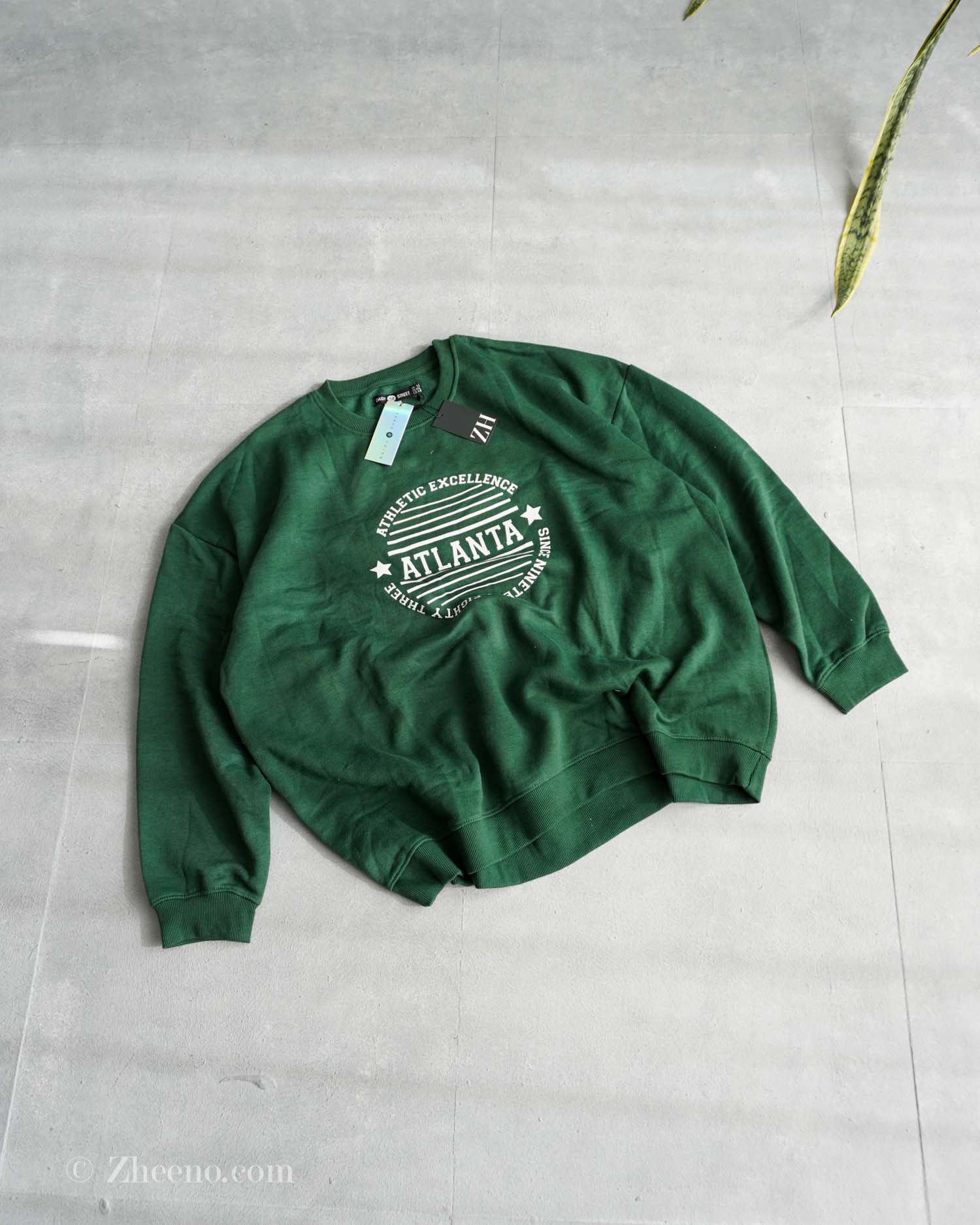 17620997146389946 دورس Daisy Street