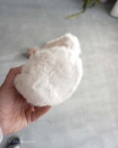 گوشگیر زمستانی ساده شیری