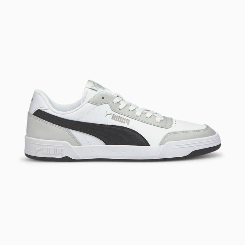 Puma Caracal