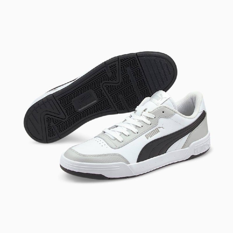 Puma Caracal