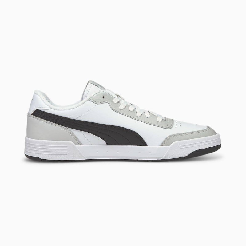 Puma Caracal