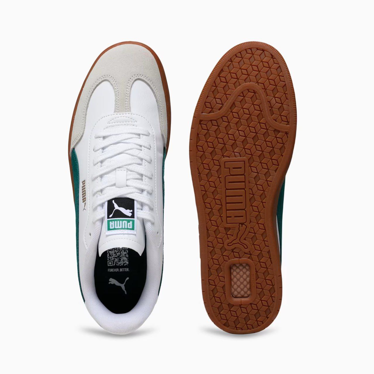 Puma Ascenso