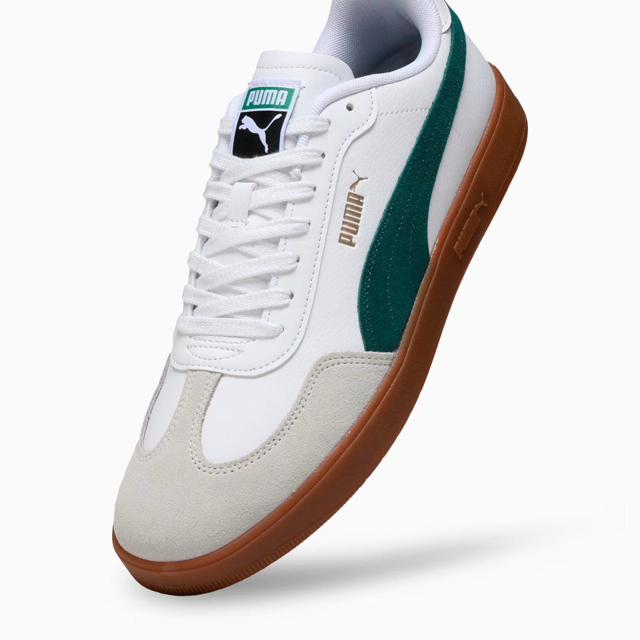 Puma Ascenso