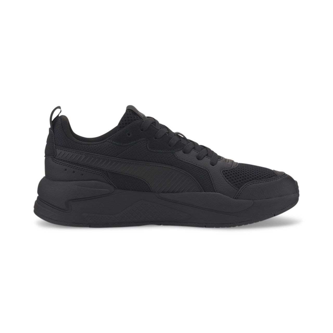 Puma X-Ray