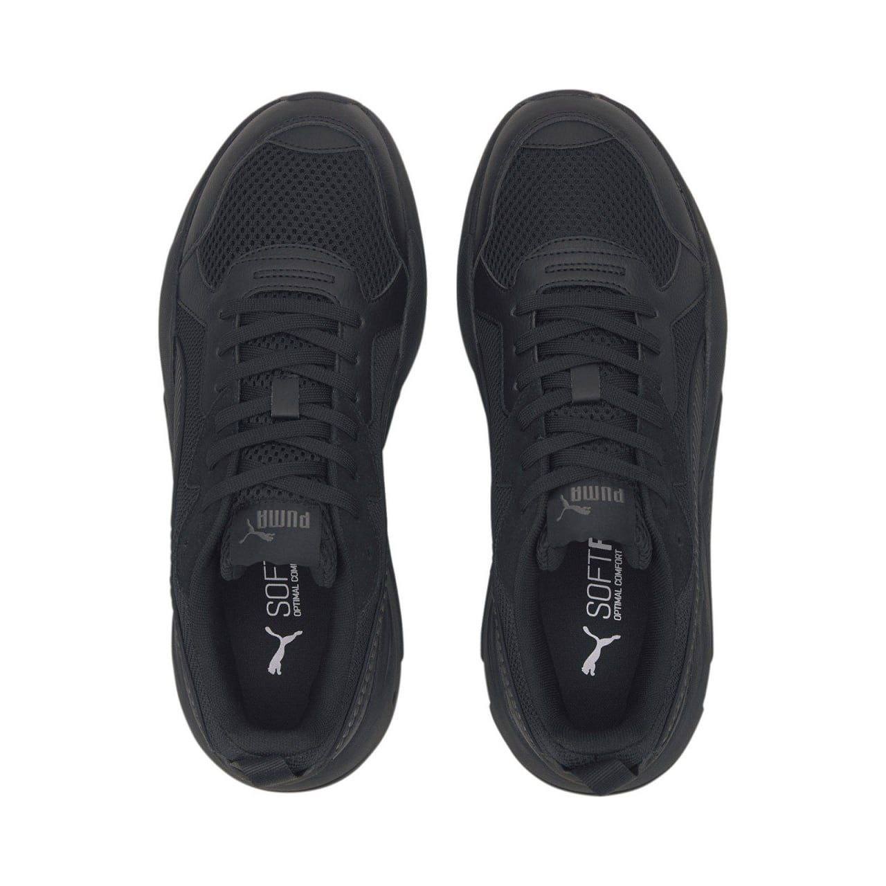 Puma X-Ray